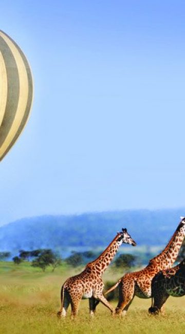 3-Days-Serengeti-balloon-Safari
